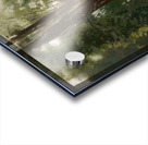 Odilon Redon 24 Acrylic print