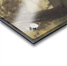 Odilon Redon 27 Acrylic print