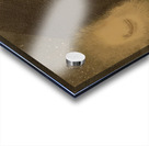 Odilon Redon 32 Acrylic print