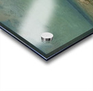 Odilon Redon 33 Acrylic print