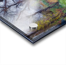  Art by Henri Martin 4 Acrylic print