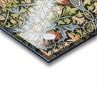 William Morris 22 Acrylic print