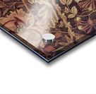 William Morris 51 Acrylic print