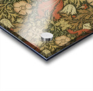 William Morris 52 Acrylic print