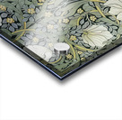 William Morris 58 Acrylic print