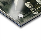 Maurice de Vlaminck 36 Acrylic print