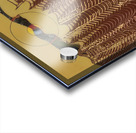 Max Ernst 2 Acrylic print