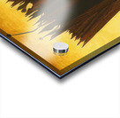 Max Ernst 4 Acrylic print