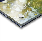 Max Ernst 10 Acrylic print