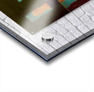 Max Ernst 12 Acrylic print