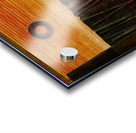 Max Ernst 20 Acrylic print