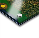 Max Ernst 24 Acrylic print