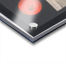 Max Ernst 26 Acrylic print