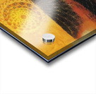 Max Ernst 29 Acrylic print