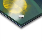 Max Ernst 30 Acrylic print