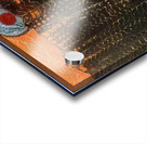 Max Ernst 33 Acrylic print