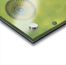 Max Ernst 35 Acrylic print