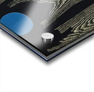 Max Ernst 41 Acrylic print