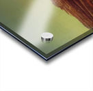 Max Ernst 44 Acrylic print