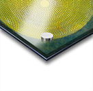 Max Ernst 46 Acrylic print