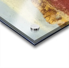 Max Ernst 2 Acrylic print