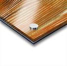 Max Ernst 5 Acrylic print