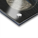 Max Ernst 14 Acrylic print