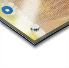 Max Ernst 17 Acrylic print