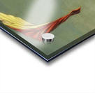 Max Ernst 19 Acrylic print