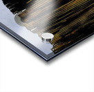 Max Ernst 20 Acrylic print