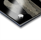 Max Ernst 21 Acrylic print