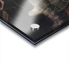 Max Ernst 22 Acrylic print