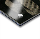 Max Ernst 25 Acrylic print