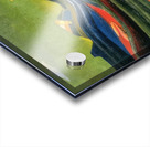 Max Ernst 27 Acrylic print