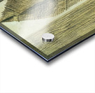 Max Ernst 28 Acrylic print