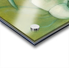 Max Ernst 29 Acrylic print