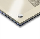 Max Ernst 48 Acrylic print