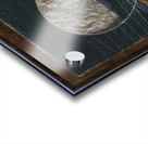 Max Ernst 49 Acrylic print