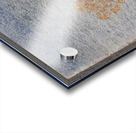 Milton Avery 49 Acrylic print