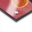 Milton Avery 55 Acrylic print