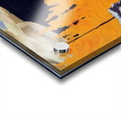 Tom Thomson 2 Acrylic print