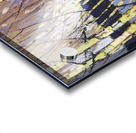 Tom Thomson 5 Acrylic print