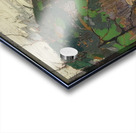 Tom Thomson 6 Acrylic print