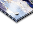 Tom Thomson 8 Acrylic print