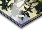 Tom Thomson 9 Acrylic print