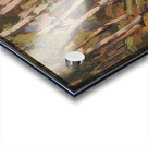 Tom Thomson 30 Acrylic print