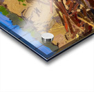 Tom Thomson 50 Acrylic print