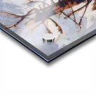 Tom Thomson 53 Acrylic print