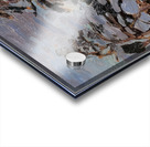 Tom Thomson 62 Acrylic print