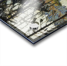 Tom Thomson 65 Acrylic print